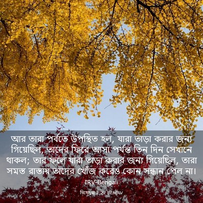 Picture 03 - যিহোচূৱা 2:22 BENIRV - আর তারা পর্বতে - Bible Verse Picture
