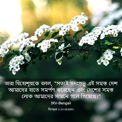 Picture 03 - যিহোচূৱা 2:24 BENIRV - তারা যিহোশূয়কে - Bible Verse Picture