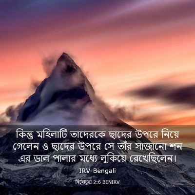 Picture 03 - যিহোচূৱা 2:6 BENIRV - কিন্তু মহিলাটি - Bible Verse Picture