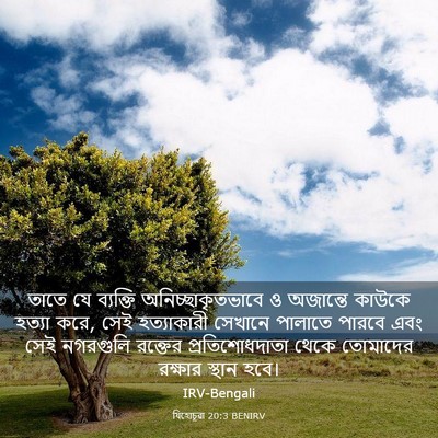 Picture 03 - যিহোচূৱা 20:3 BENIRV - তাতে যে ব্যক্তি - Bible Verse Picture