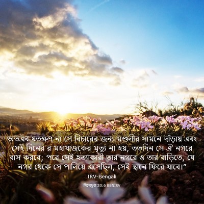 Picture 03 - যিহোচূৱা 20:6 BENIRV - অতএব যতক্ষণ না সে - Bible Verse Picture