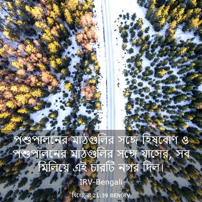 Picture 03 - যিহোচূৱা 21:39 BENIRV - পশুপালনের - Bible Verse Picture