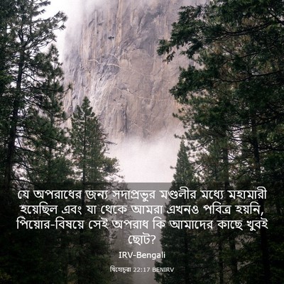 Picture 03 - যিহোচূৱা 22:17 BENIRV - যে অপরাধের জন্য - Bible Verse Picture