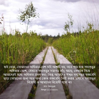 Picture 03 - যিহোচূৱা 22:19 BENIRV - যাই হোক, তোমাদের - Bible Verse Picture