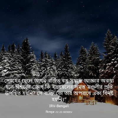 Picture 03 - যিহোচূৱা 22:20 BENIRV - সেরহের ছেলে আখন - Bible Verse Picture