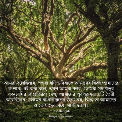 Picture 03 - যিহোচূৱা 22:28 BENIRV - আমরা বলেছিলাম, - Bible Verse Picture