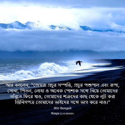 Picture 03 - যিহোচূৱা 22:8 BENIRV - আর বললেন, “তোমরা - Bible Verse Picture