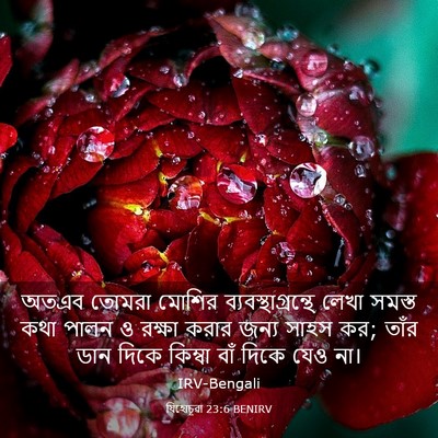 Picture 03 - যিহোচূৱা 23:6 BENIRV - অতএব তোমরা মোশির - Bible Verse Picture