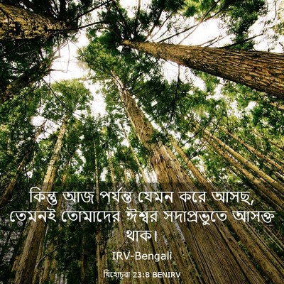 Picture 03 - যিহোচূৱা 23:8 BENIRV - কিন্তু আজ পর্যন্ত - Bible Verse Picture