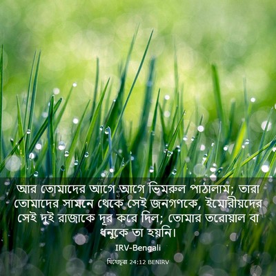 Picture 03 - যিহোচূৱা 24:12 BENIRV - আর তোমাদের আগে আগে - Bible Verse Picture