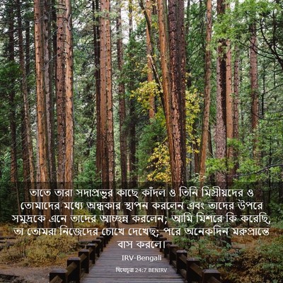 Picture 03 - যিহোচূৱা 24:7 BENIRV - তাতে তারা - Bible Verse Picture