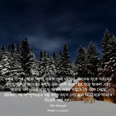 Picture 03 - যিহোচূৱা 3:16 BENIRV - তখন উপর থেকে আসা - Bible Verse Picture