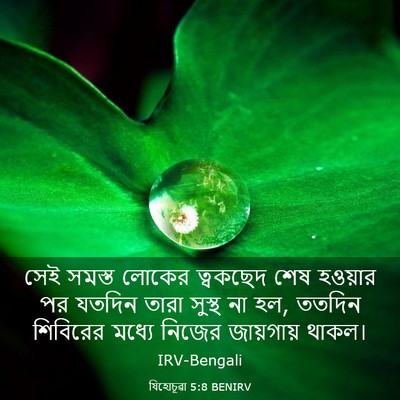 Picture 03 - যিহোচূৱা 5:8 BENIRV - সেই সমস্ত লোকের - Bible Verse Picture