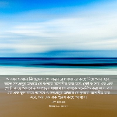Picture 03 - যিহোচূৱা 7:14 BENIRV - অতএব সকালে - Bible Verse Picture