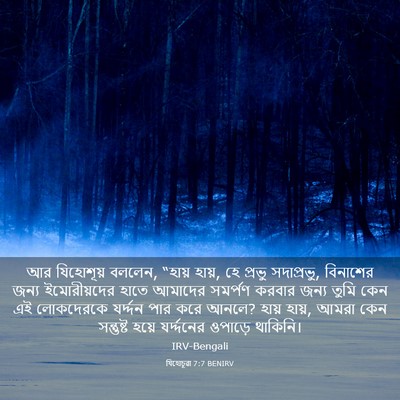 Picture 03 - যিহোচূৱা 7:7 BENIRV - আর যিহোশূয় বললেন, - Bible Verse Picture