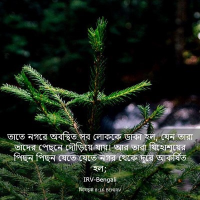 Picture 03 - যিহোচূৱা 8:16 BENIRV - তাতে নগরে অবস্থিত - Bible Verse Picture
