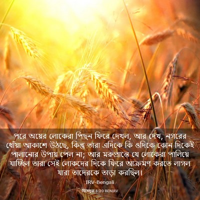 Picture 03 - যিহোচূৱা 8:20 BENIRV - পরে অয়ের লোকেরা - Bible Verse Picture