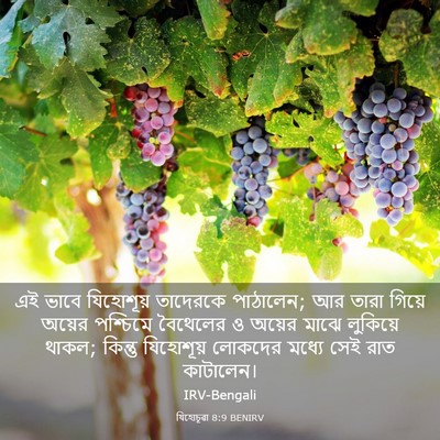 Picture 03 - যিহোচূৱা 8:9 BENIRV - এই ভাবে যিহোশূয় - Bible Verse Picture