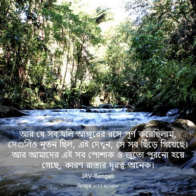 Picture 03 - যিহোচূৱা 9:13 BENIRV - আর যে সব থলি - Bible Verse Picture