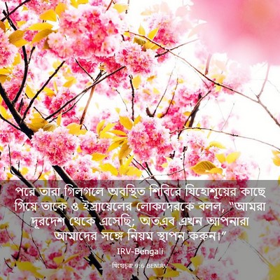Picture 03 - যিহোচূৱা 9:6 BENIRV - পরে তারা গিল্‌গলে - Bible Verse Picture