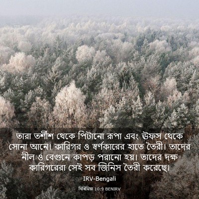 Picture 03 - যিৰিমিয়া 10:9 BENIRV - তারা তর্শীশ থেকে - Bible Verse Picture