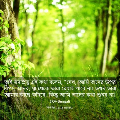 Picture 03 - যিৰিমিয়া 11:11 BENIRV - তাই সদাপ্রভু এই - Bible Verse Picture