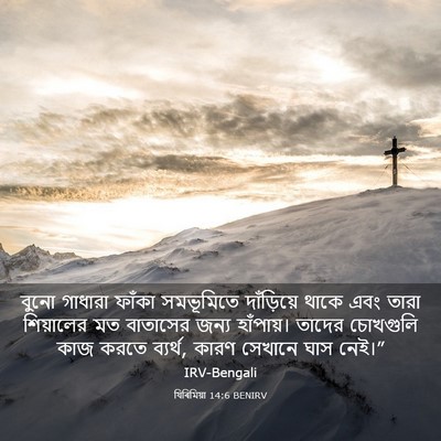 Picture 03 - যিৰিমিয়া 14:6 BENIRV - বুনো গাধারা ফাঁকা - Bible Verse Picture