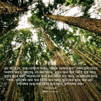 Picture 03 - যিৰিমিয়া 15:2 BENIRV - এটা ঘটবে যে, তারা - Bible Verse Picture