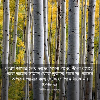 Picture 03 - যিৰিমিয়া 16:17 BENIRV - কারণ আমার চোখ - Bible Verse Picture