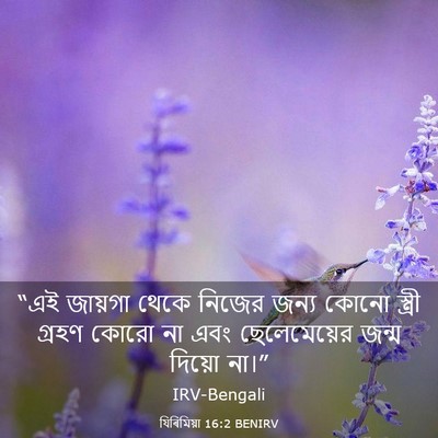 Picture 03 - যিৰিমিয়া 16:2 BENIRV - “এই জায়গা থেকে - Bible Verse Picture