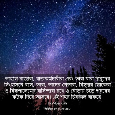 Picture 03 - যিৰিমিয়া 17:25 BENIRV - তাহলে রাজারা, - Bible Verse Picture