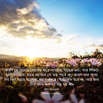 Picture 03 - যিৰিমিয়া 17:8 BENIRV - কারণ সে জলের - Bible Verse Picture