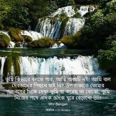 Picture 03 - যিৰিমিয়া 2:23 BENIRV - তুমি কিভাবে বলতে - Bible Verse Picture