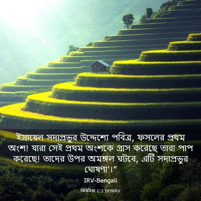 Picture 03 - যিৰিমিয়া 2:3 BENIRV - ইস্রায়েল - Bible Verse Picture