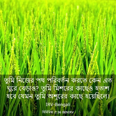 Picture 03 - যিৰিমিয়া 2:36 BENIRV - তুমি নিজের পথ - Bible Verse Picture