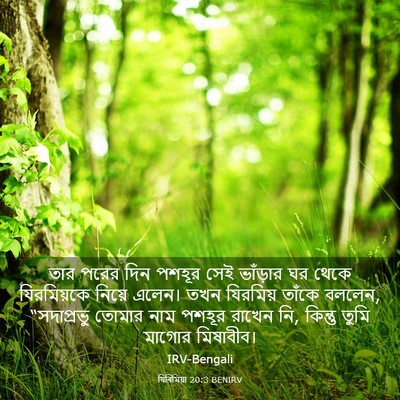 Picture 03 - যিৰিমিয়া 20:3 BENIRV - তার পরের দিন পশহূর - Bible Verse Picture