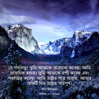 Picture 03 - যিৰিমিয়া 20:7 BENIRV - হে সদাপ্রভু! তুমি - Bible Verse Picture