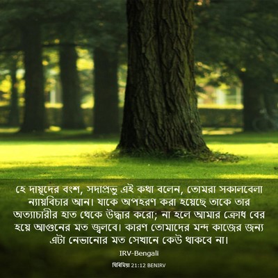 Picture 03 - যিৰিমিয়া 21:12 BENIRV - হে দায়ূদের বংশ, - Bible Verse Picture