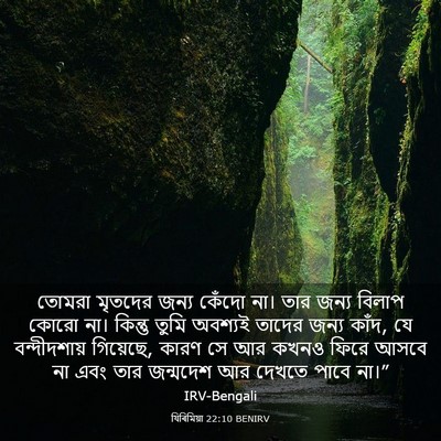 Picture 03 - যিৰিমিয়া 22:10 BENIRV - তোমরা মৃতদের জন্য - Bible Verse Picture