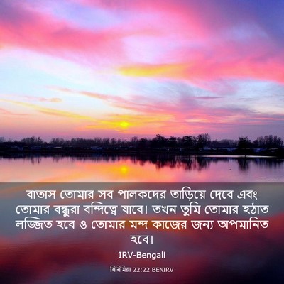 Picture 03 - যিৰিমিয়া 22:22 BENIRV - বাতাস তোমার সব - Bible Verse Picture