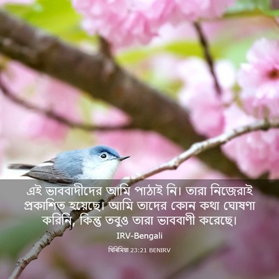 Picture 03 - যিৰিমিয়া 23:21 BENIRV - এই ভাববাদীদের আমি - Bible Verse Picture