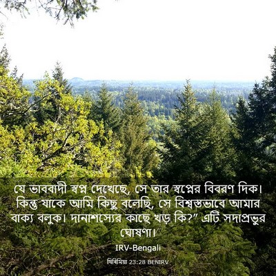 Picture 03 - যিৰিমিয়া 23:28 BENIRV - যে ভাববাদী স্বপ্ন - Bible Verse Picture