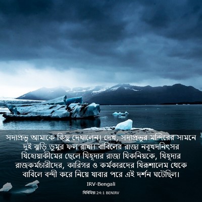 Picture 03 - যিৰিমিয়া 24:1 BENIRV - সদাপ্রভু আমাকে - Bible Verse Picture