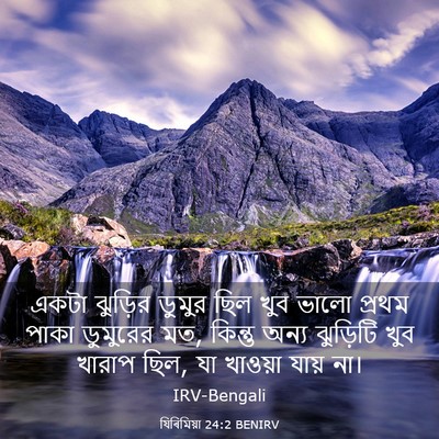 Picture 03 - যিৰিমিয়া 24:2 BENIRV - একটা ঝুড়ির ডুমুর - Bible Verse Picture