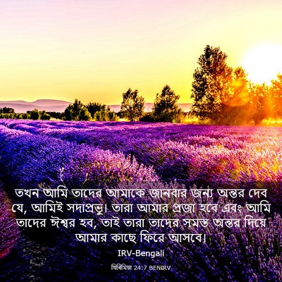 Picture 03 - যিৰিমিয়া 24:7 BENIRV - তখন আমি তাদের - Bible Verse Picture