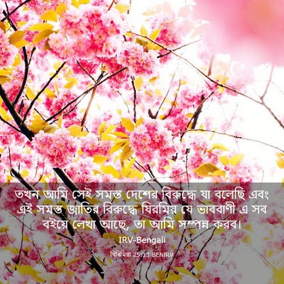 Picture 03 - যিৰিমিয়া 25:13 BENIRV - তখন আমি সেই সমস্ত - Bible Verse Picture