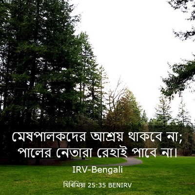 Picture 03 - যিৰিমিয়া 25:35 BENIRV - মেষপালকদের আশ্রয় - Bible Verse Picture