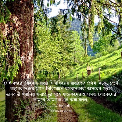 Picture 03 - যিৰিমিয়া 28:1 BENIRV - সেই বছরে, যিহূদার - Bible Verse Picture