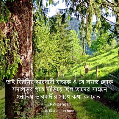 Picture 03 - যিৰিমিয়া 28:5 BENIRV - তাই যিরমিয় - Bible Verse Picture