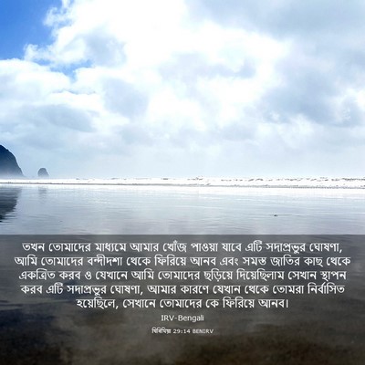 Picture 03 - যিৰিমিয়া 29:14 BENIRV - তখন তোমাদের - Bible Verse Picture